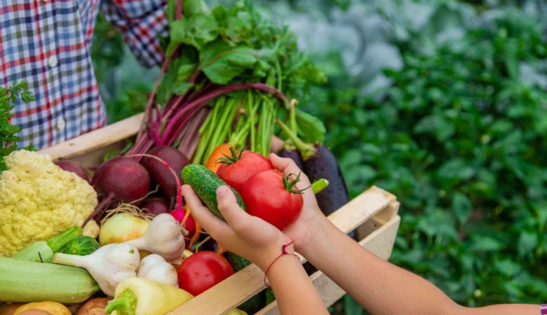 Fresh Fruits & Vegetables in our New Markets teneur a saiente delectus